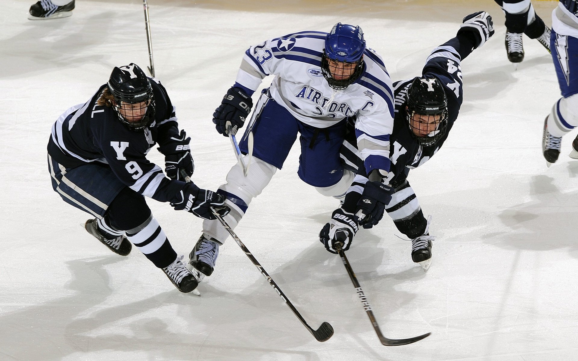 莎拉波娃新星高光表现表现惊艳，拜仁未来可期！-九游